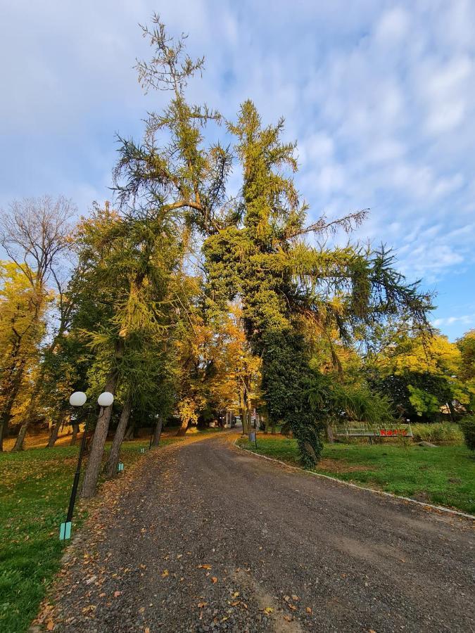 Dwor Podstolice - House Of Rosenthal Villa Kültér fotó
